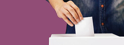 Methods of Voting Hero 2